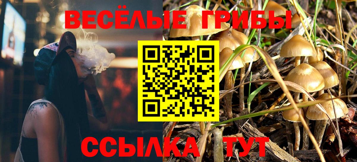 Псилоцибиновые грибы MAGIC MUSHROOMS Жуковский