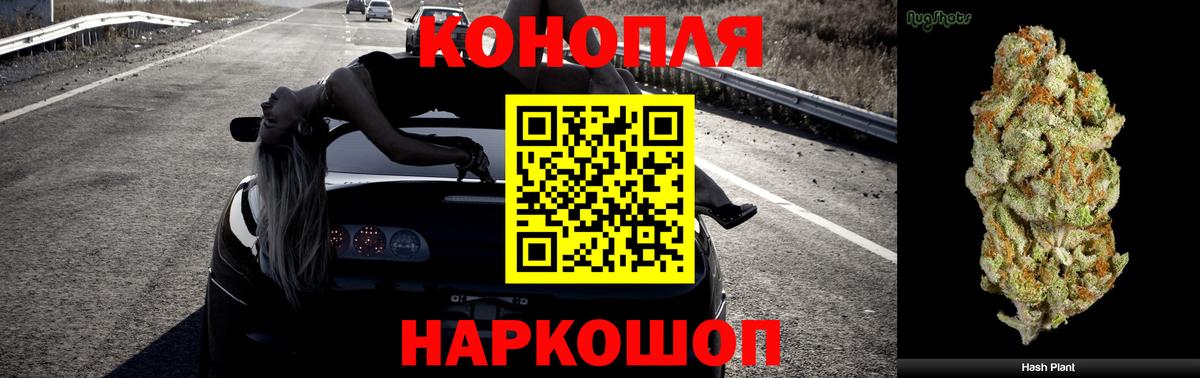 Марихуана MAZAR  Бошки Шишки Amnesia  Вход с VPN  Жуковский  Шишки марихуана Ganja  Бошки марихуана план 